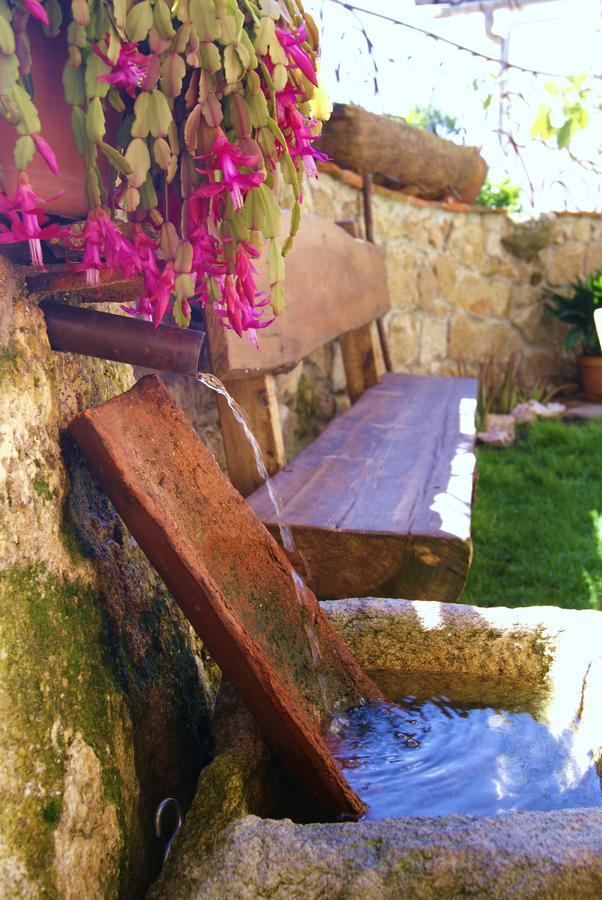 Posada La Gatera Pedro Bernardo Ngoại thất bức ảnh